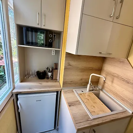 Please * 布尔加斯